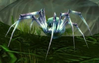 Image of Razzashi Venombrood