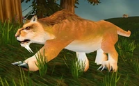 Image of Mountain Lion