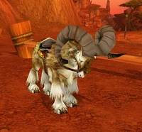 Image of Racing Ram
