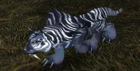 Image of Moonstalker Sire