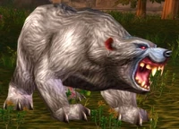 Image of Elder Gray Bear