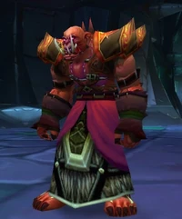 Image of Shadowmoon Summoner