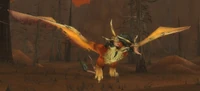 Image of Young Chimaera