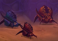 Image of Three Bugs