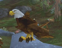 Image of Imperial Eagle