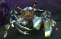 Image of Barbed Crustacean