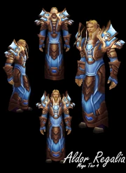 "Aldor Regalia" worn by a Human.