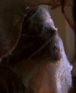 Reyes entombed in webbing.
