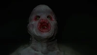 Flukeman