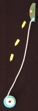 Step 6