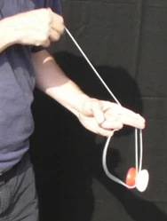 Step 5