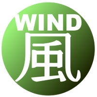 Wind Icon