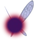 Artwork of Tael