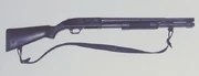 A common 12-Gauge