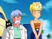 180px-DrBriefsMrsBriefsMajinBuuSagaNV.png