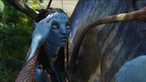 Image - Neytiri - Inside.jpg - James Cameron's Avatar Wiki - Sam ...