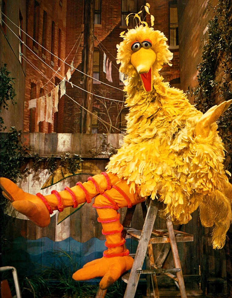 Big Bird Through the Years | Muppets Fanon Wiki | FANDOM powered by Wikia