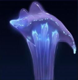 A bioluminescent hanar