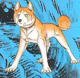 Riki - Ginga Wiki - Gin, Ginga: Nagareboshi Gin