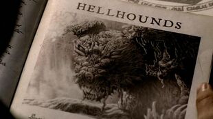 http://images4.wikia.nocookie.net/__cb20120418012630/supernatural/ru/images/thumb/4/40/830px-Hell_hound_1.jpg/310px-830px-Hell_hound_1.jpg