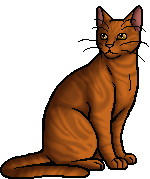 Amberclaw - Warrior Cats Wiki - Erin Hunter, The Blazing Star, Dawn of ...