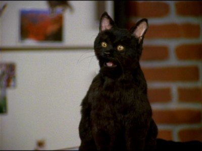 Salem Saberhagen - The Hub TV Channel Wiki